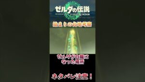 【ネタバレ注意】始まりの台地考察2【ゼルダの伝説ティアーズオブザキングダム】